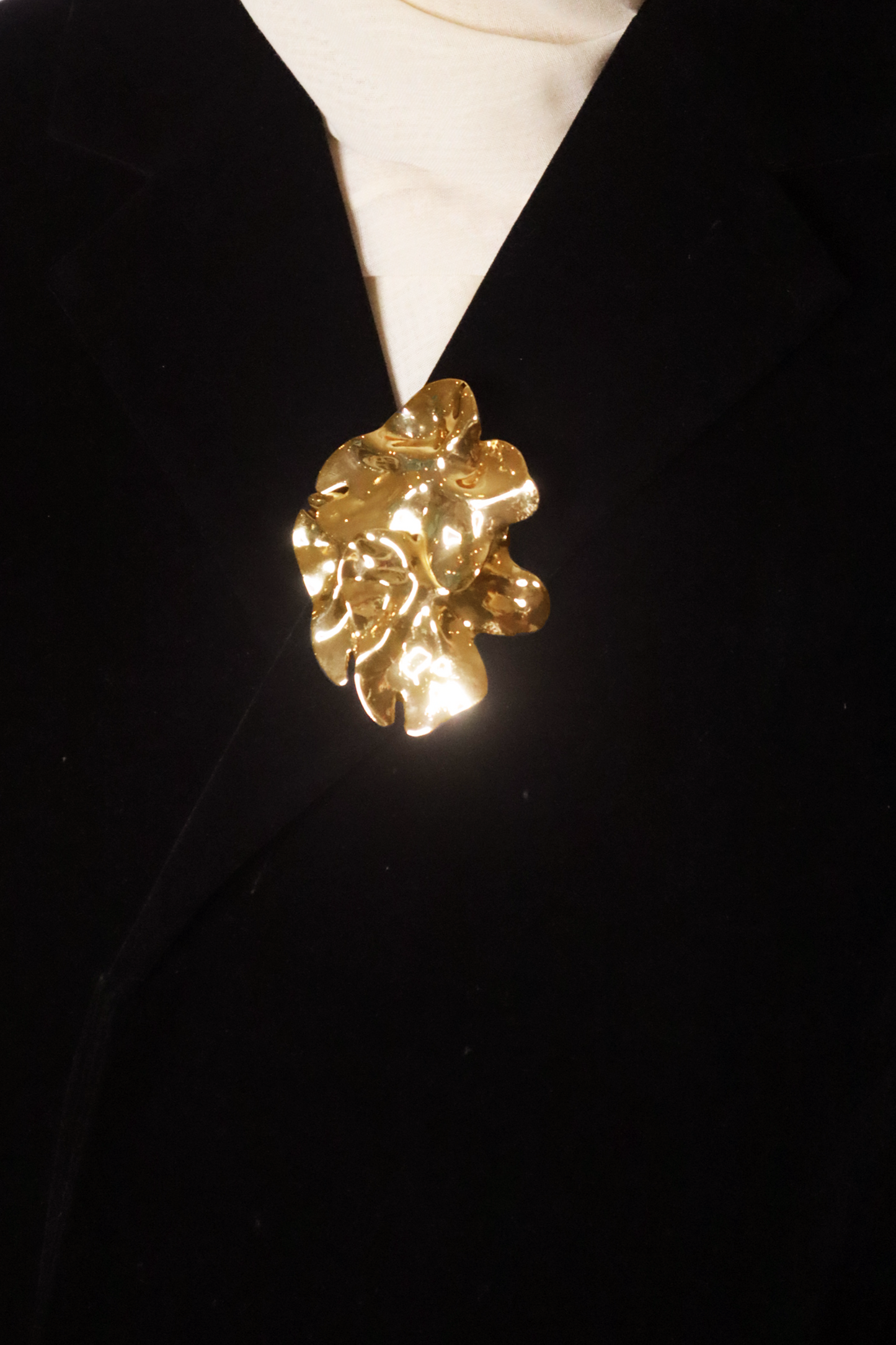 Morph Brooch in Gold